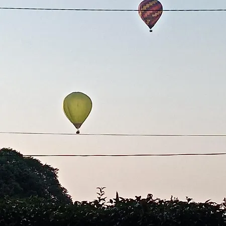 L'atelier Saint-Maximin (Gard)