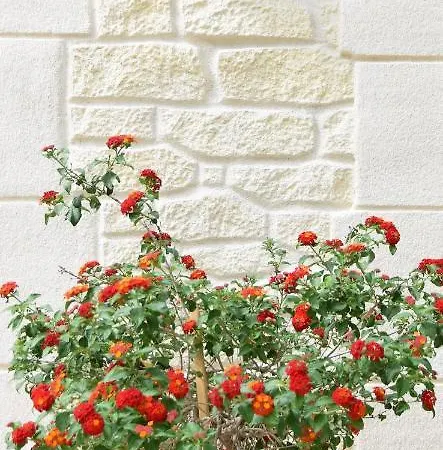 L'atelier Bed and Breakfast