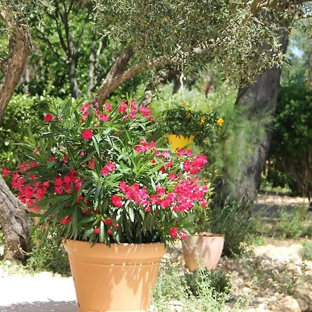 Bed and Breakfast L'atelier 4*