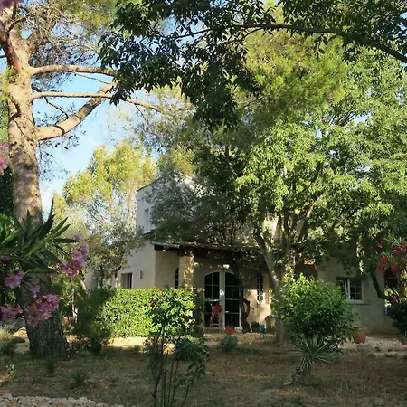 L'atelier 4* Saint-Maximin (Gard)