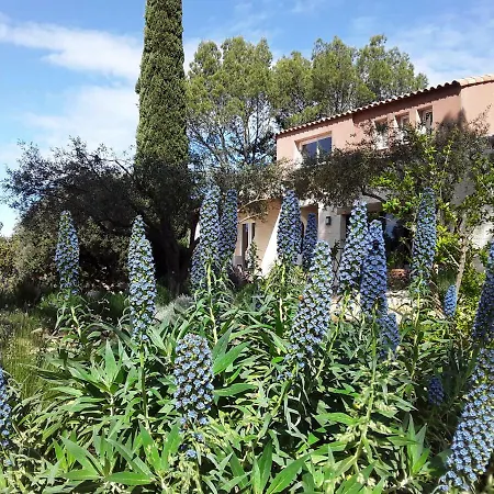 L'atelier Bed and Breakfast